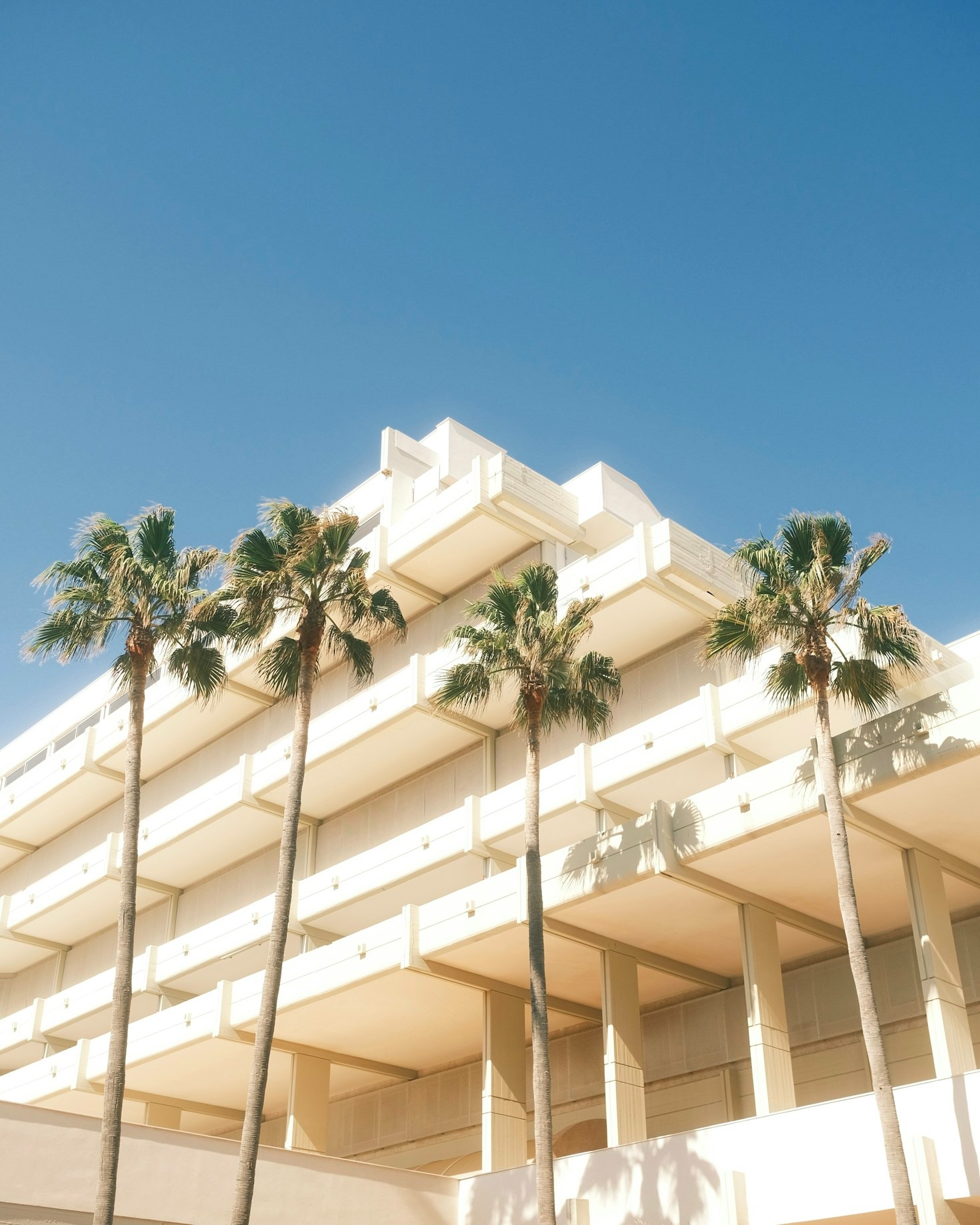 Top Strategies For Successful Commercial Development